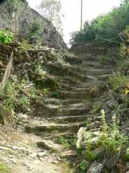 Vathia